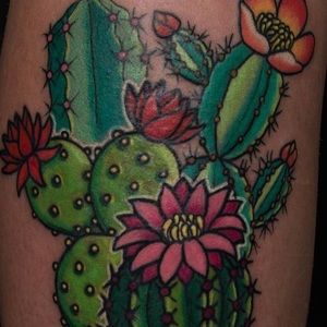 Meet your Posher, Lorena